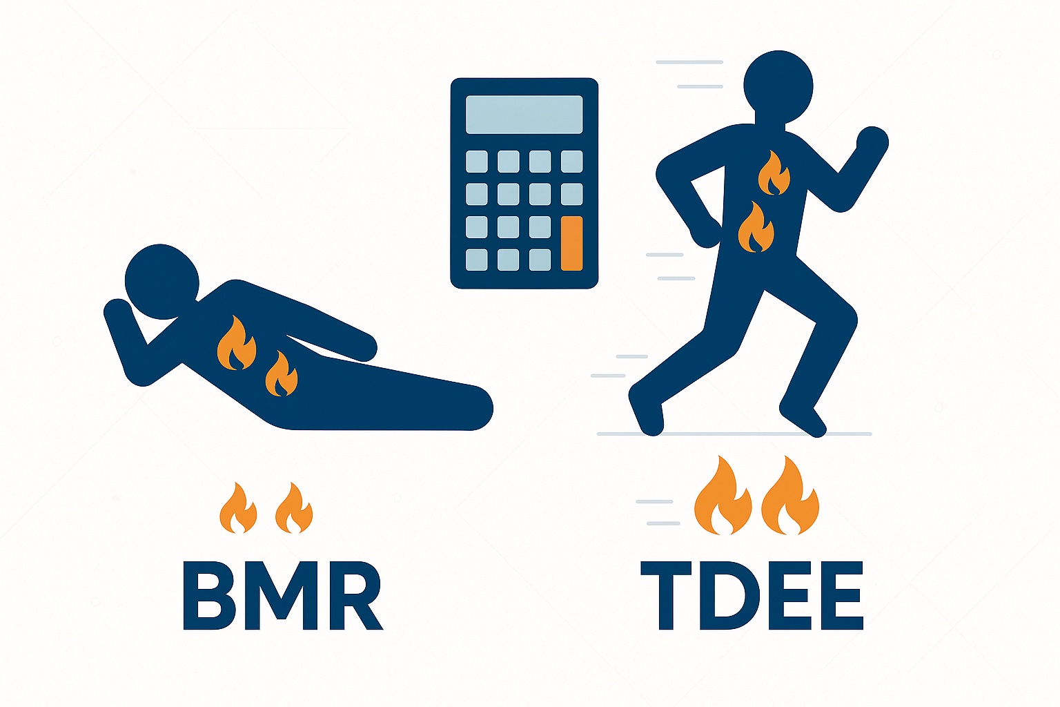 BMR vs TDEE: Comprendre les principales différences pour une gestion efficace du poids